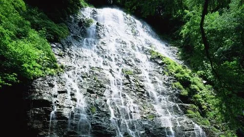 可靠性高端